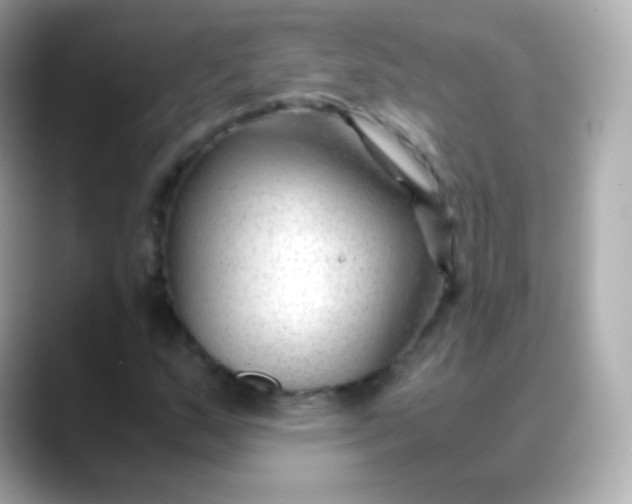 X0000088461159200706051319