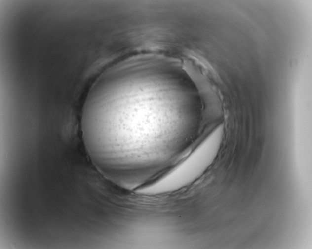 X0000088461160200706051319