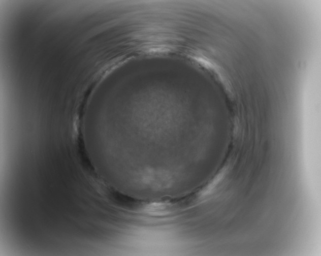 X0000088461161200706051319