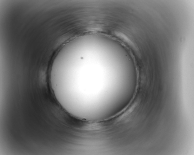 X0000088461162200706051319