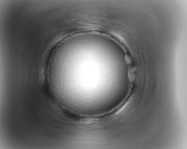 X0000088461163200706051319