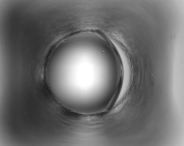 X0000088461165200706051319