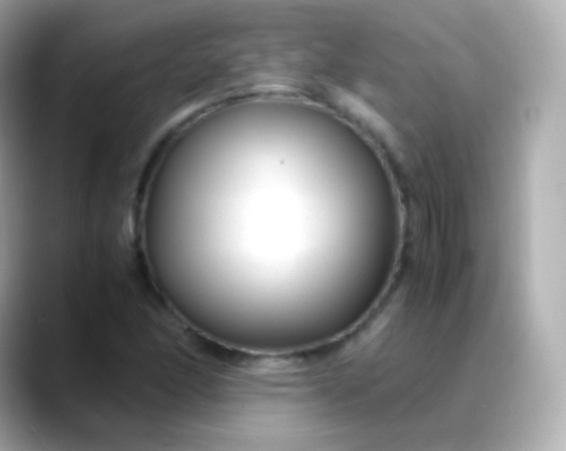 X0000088461166200706051319