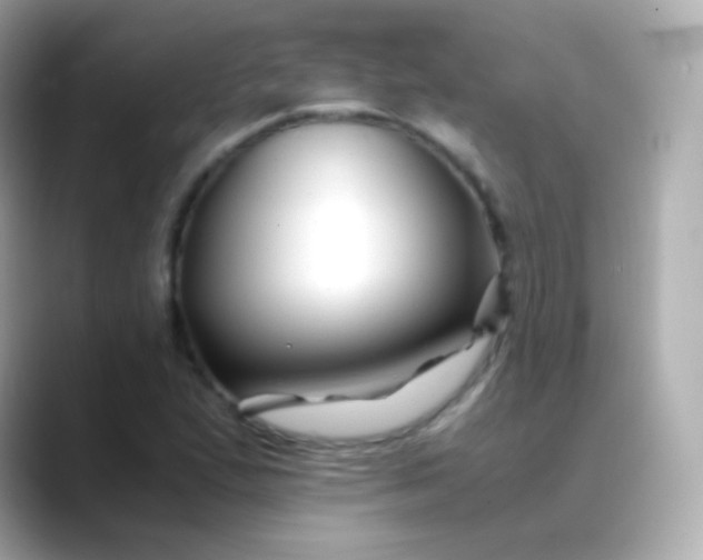 X0000088461167200706051319