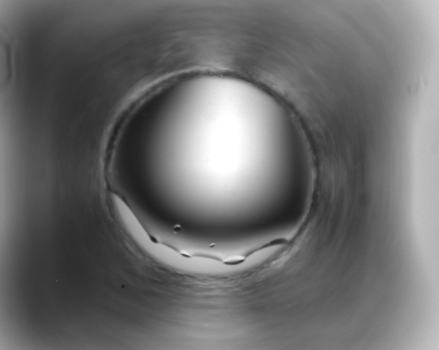 X0000088461168200706051319