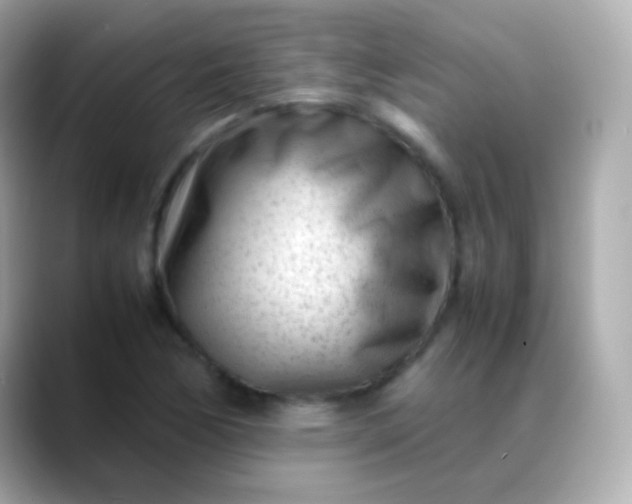 X0000088461170200706051319