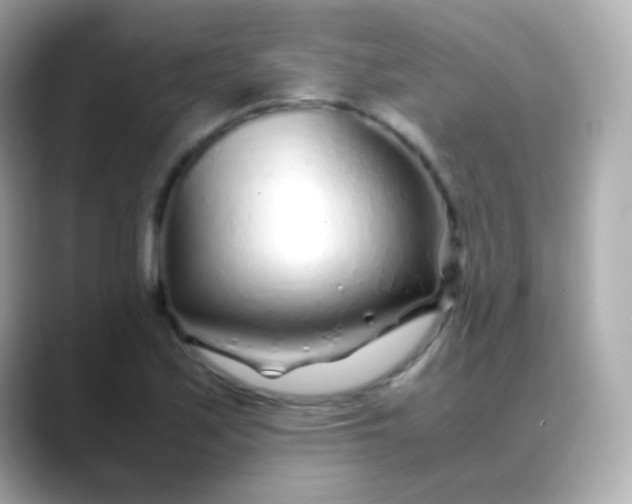 X0000088461171200706051319