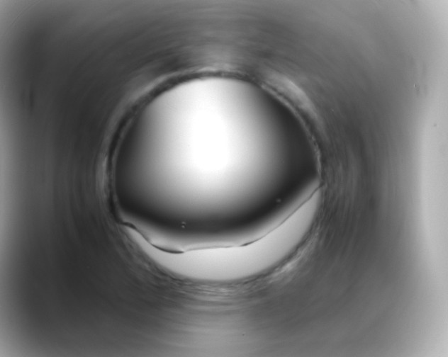 X0000088461172200706051319