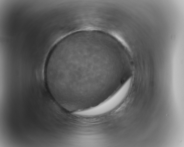 X0000088461173200706051319