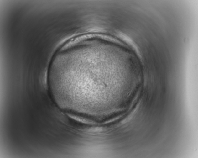 X0000088461174200706051319