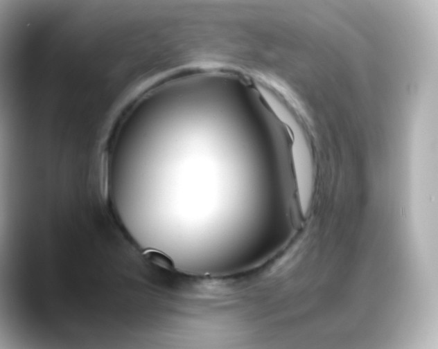 X0000088461175200706051319