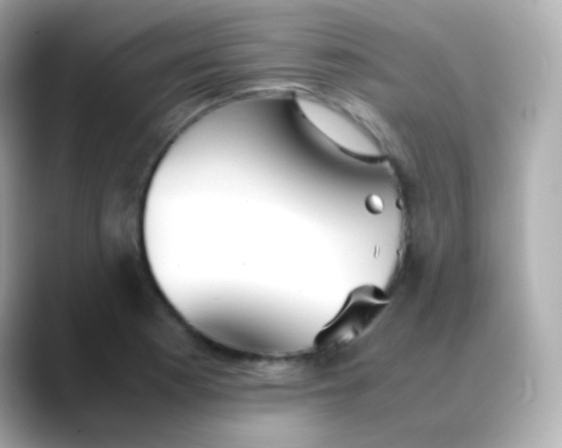 X0000088461177200706051319