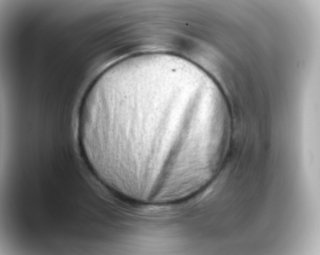 X0000088461179200706051319