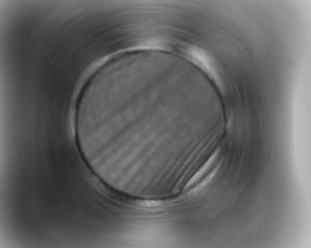 X0000088461180200706051319