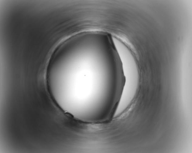 X0000088461181200706051319