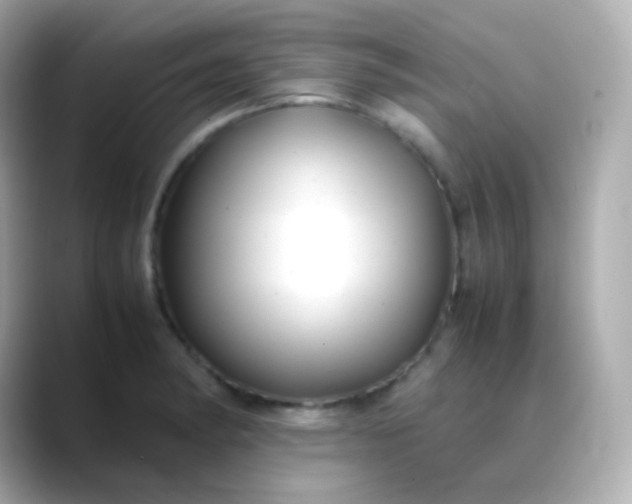 X0000088461182200706051319