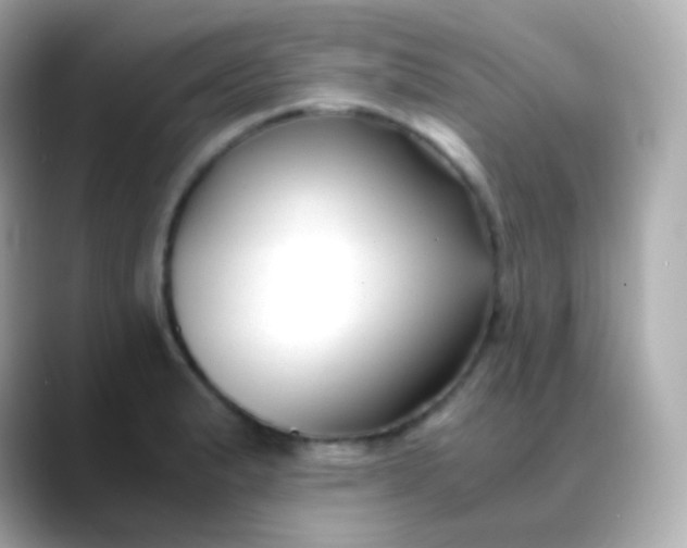 X0000088461183200706051319