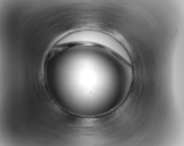 X0000088461184200706051319