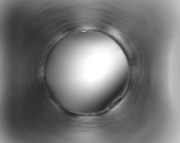 X0000088461185200706051319