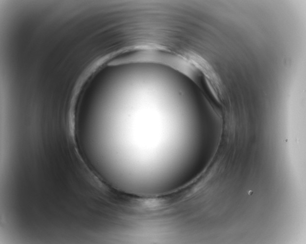 X0000088461188200706051319