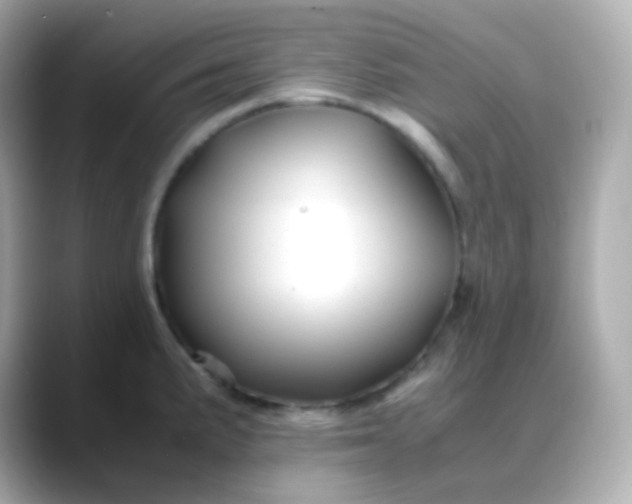 X0000088461191200706051319