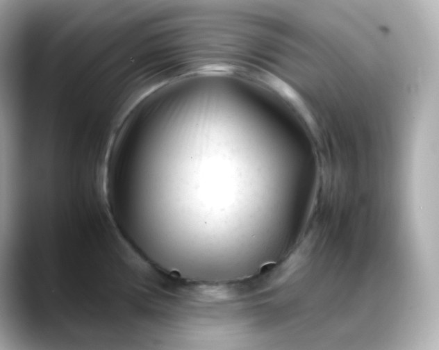 X0000088461194200706051319