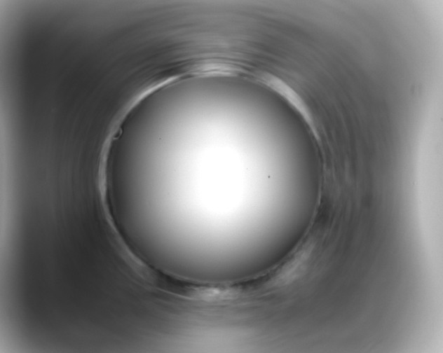 X0000088461195200706051318