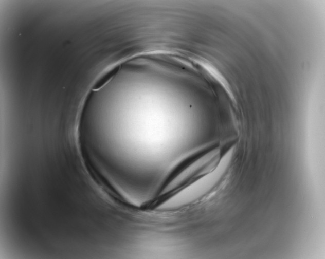 X0000088461197200706051318