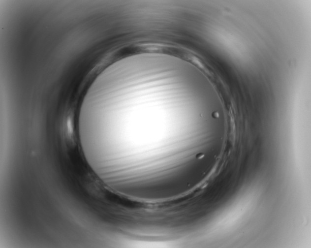 X0000088461198200706051318