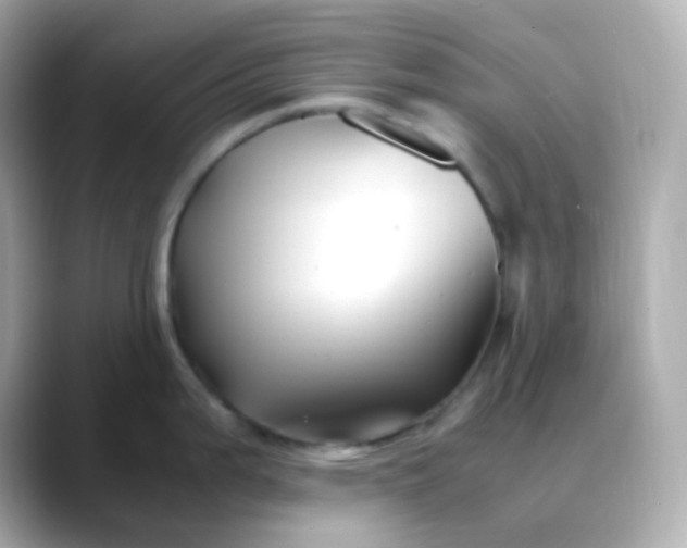 X0000088461199200706051318