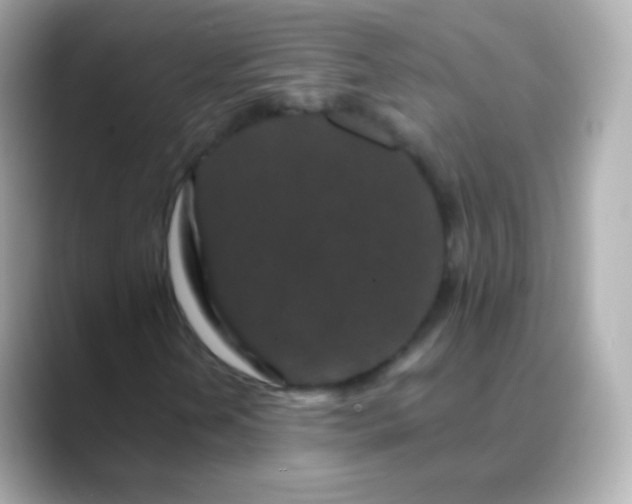 X0000088461202200706051318