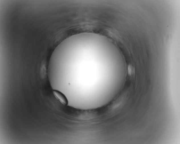 X0000088461203200706051318