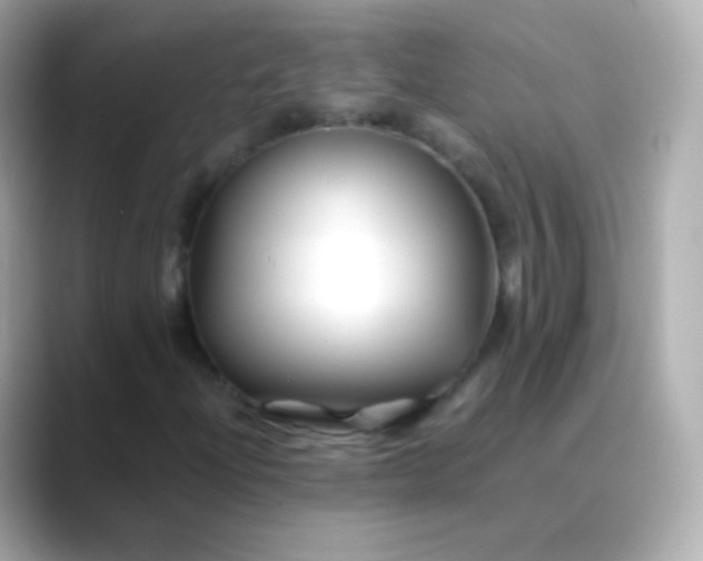 X0000088461204200706051318