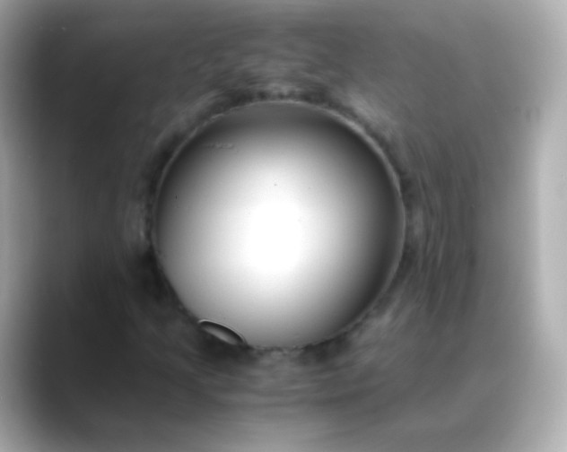 X0000088461205200706051318