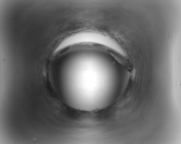 X0000088461206200706051318