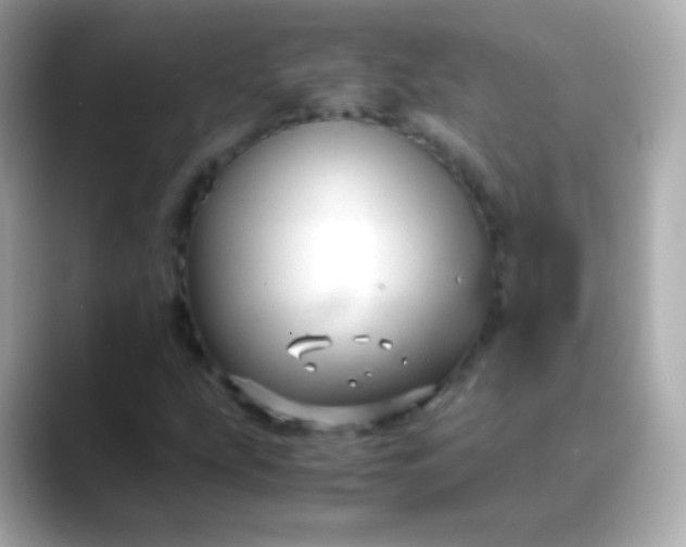 X0000088461207200706051318