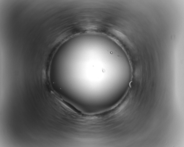 X0000088461209200706051318