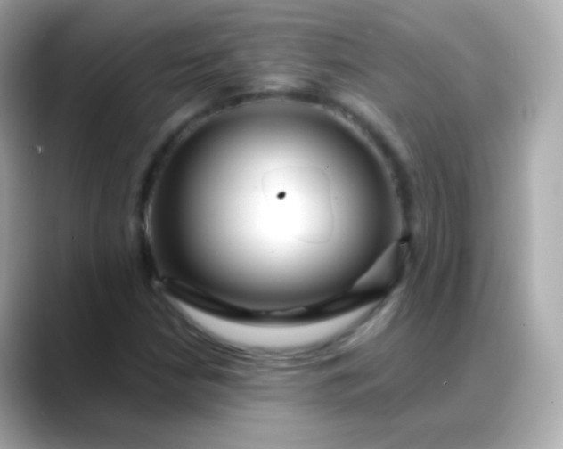 X0000088461210200706051318