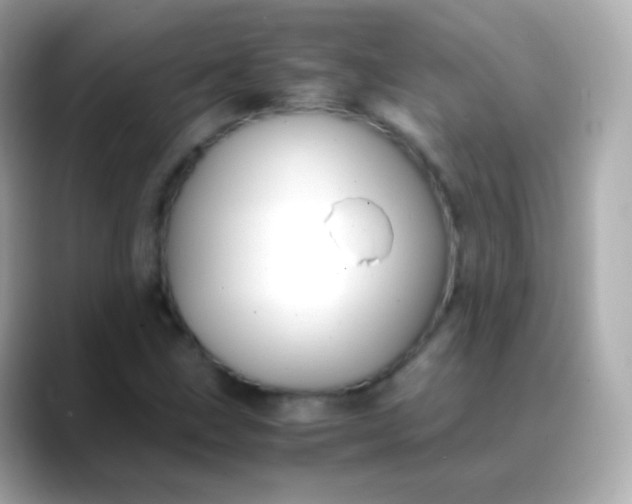 X0000088461211200706051318