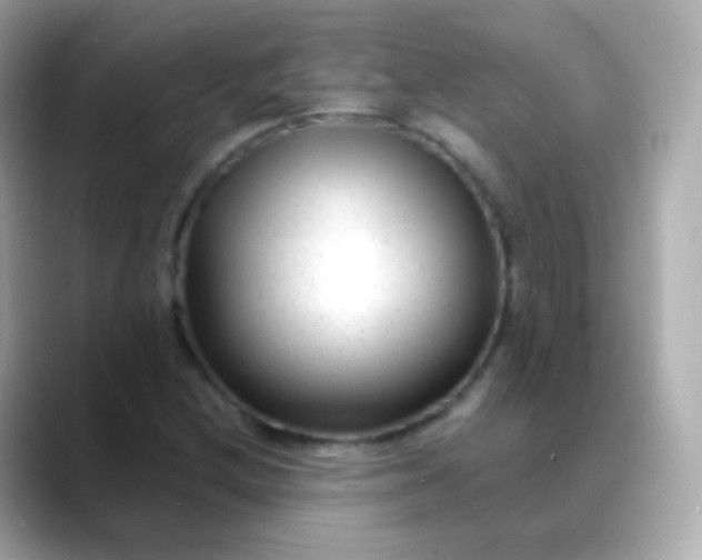 X0000088461212200706051318