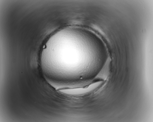 X0000088461213200706051318