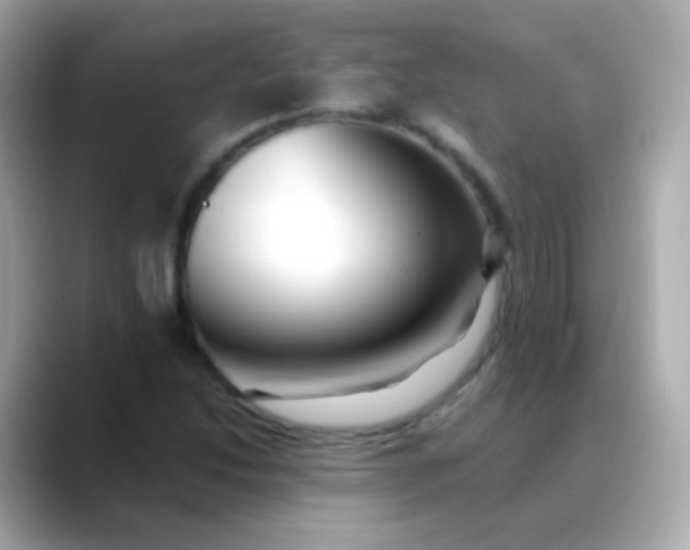 X0000088461214200706051318