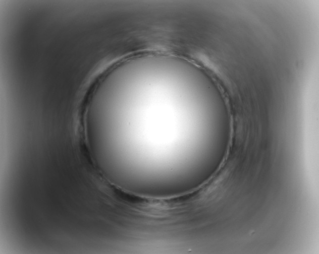 X0000088461215200706051318