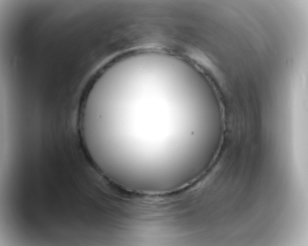 X0000088461216200706051318