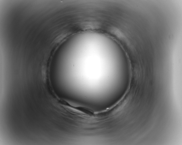 X0000088461217200706051318