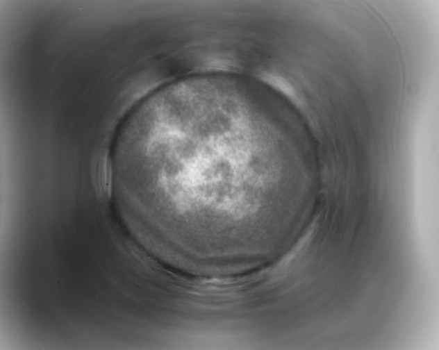 X0000088461219200706051318