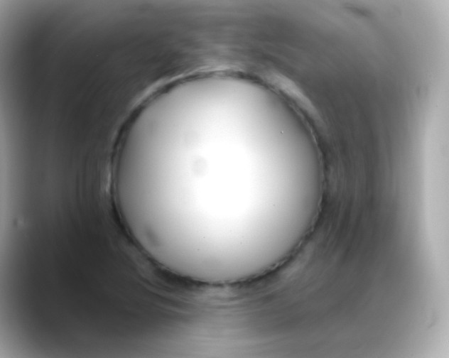 X0000088461220200706051318