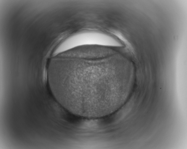 X0000088461221200706051318