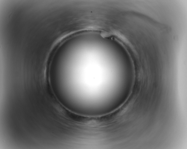 X0000088461222200706051318