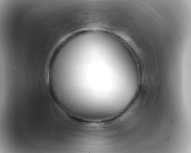 X0000088461224200706051318